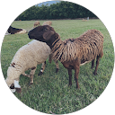 rita chen profile picture